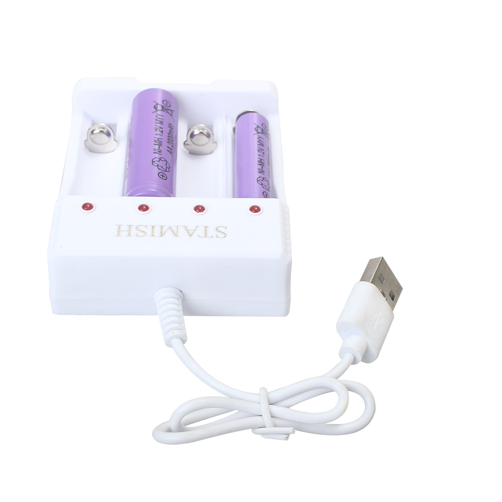 STAMISH Battery Charge Devices,Multi-function 4 Slots Nickel Hydrogen Battery Charger for NI-MH AA AAA Battery