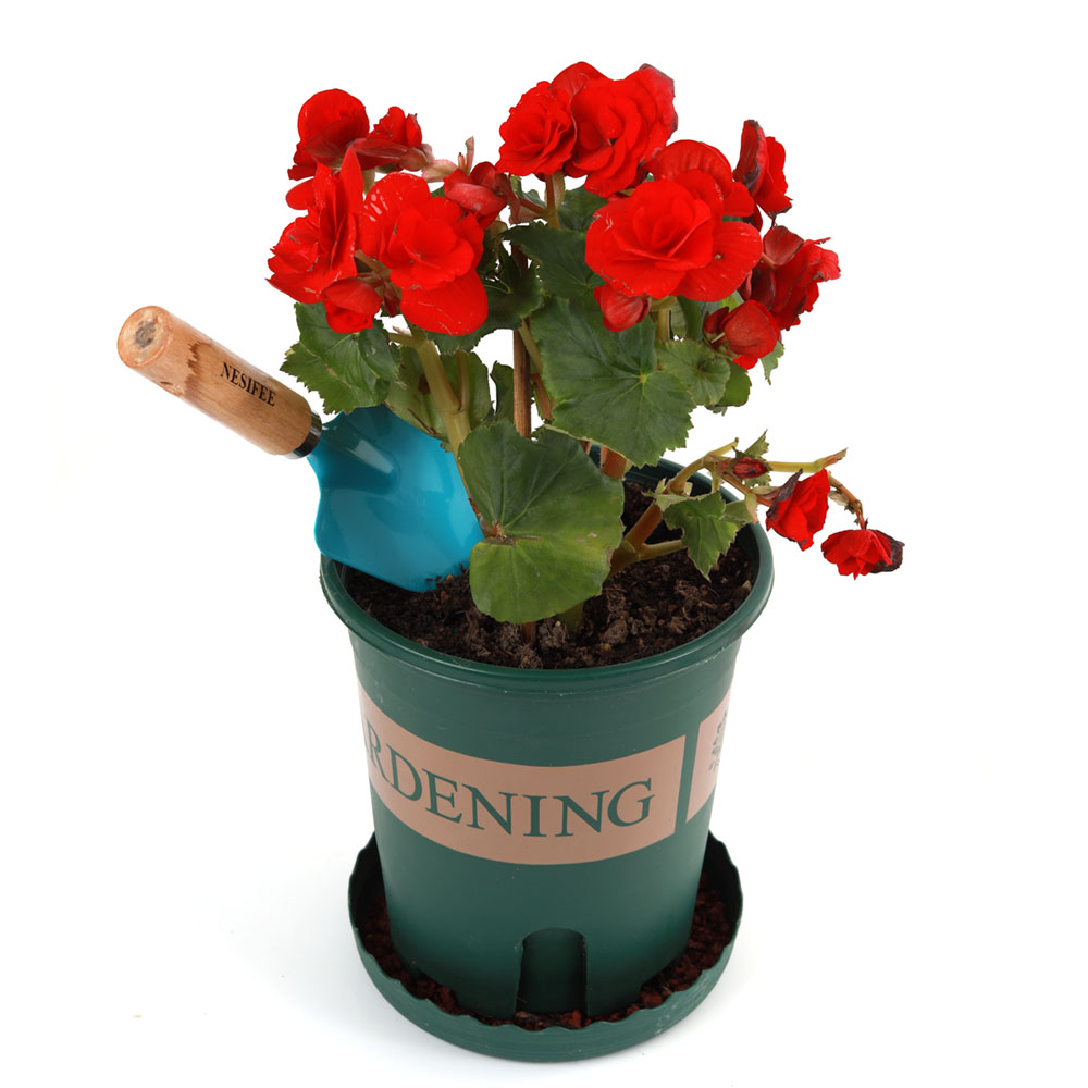 NESIFEE Gardening tools, namely, trowels, weeding forks, spades, hoes,3PCS/Set Gardening Tools Set with Shovel RakeMade Of Metal With Sturdy Wooden Handle Safe Right Size Gardening Tools