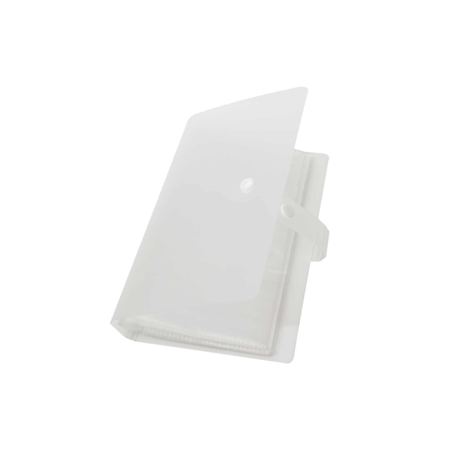 Goldforest Document covers,Business Card Book Holder Transparent Portable Credit Card Holder 240 Card Holders