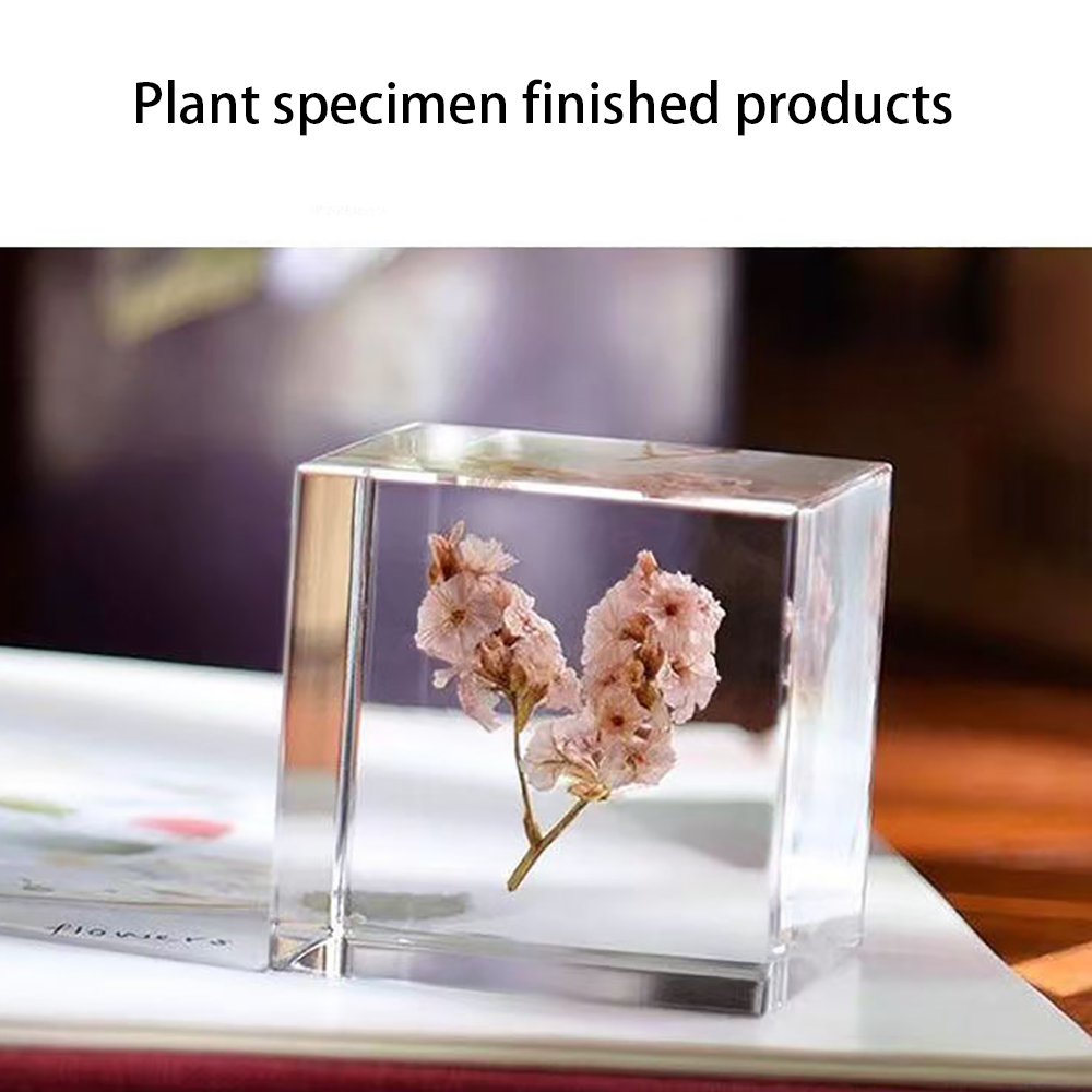 WUINTE 2PCS Oral Dental Mirror Mouth Tooth Inspection Mirrors with Bright LED Light (Orange)