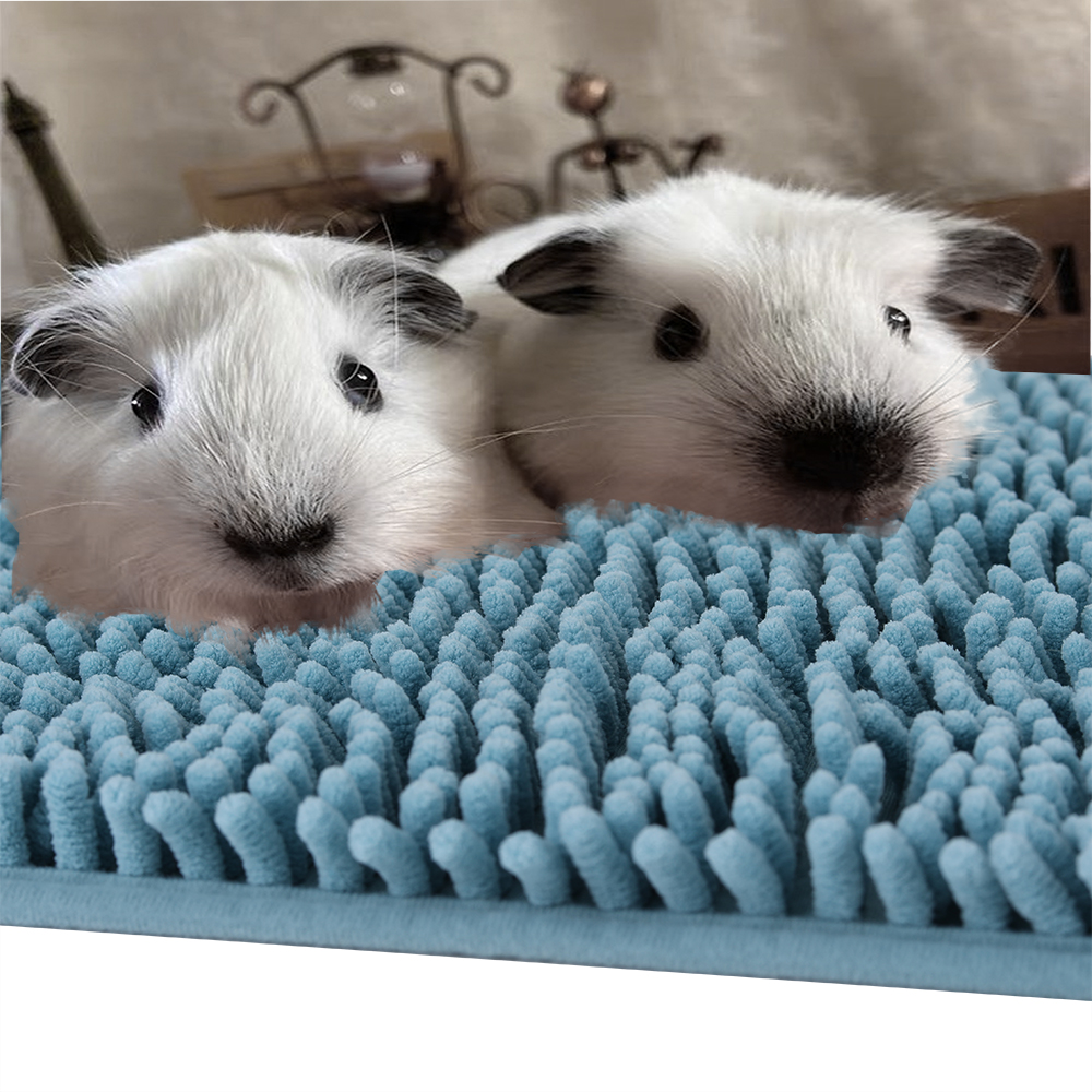 TOURNESOL 2 Pieces Plush Bed Pet ，Cat Puppy Blanket Bed Mat Cushion Blanket Pad