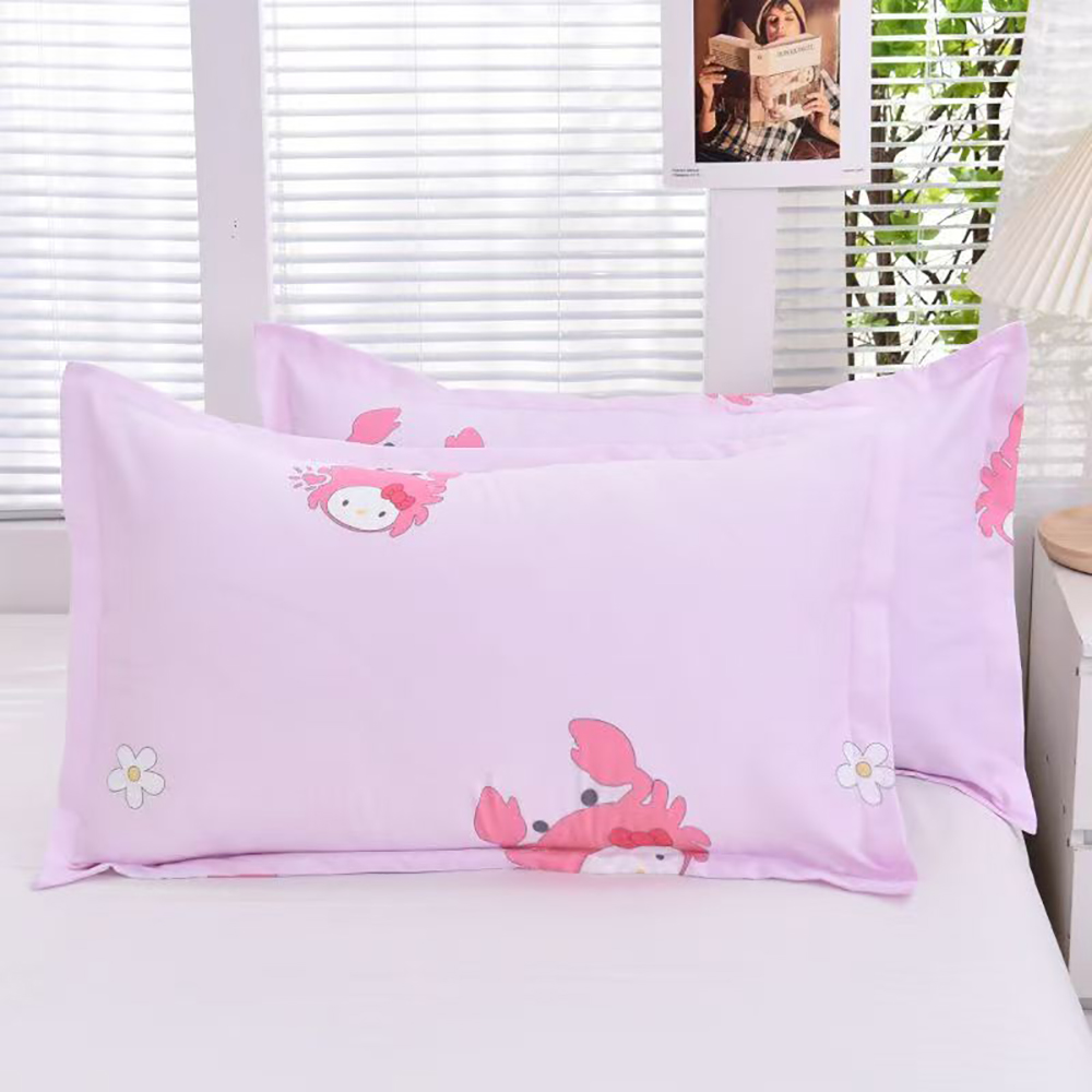 AIKOFUL GOOSE DOWN COMFORTER Pillow Covers, 20x30 inch Microfiber Pillow Cases Queen Size Set of 2,Soft Comfortable Pillow Cover