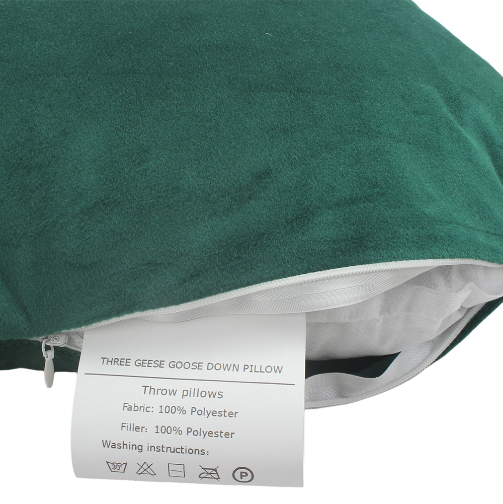 THREE GEESE GOOSE DOWN PILLOW Throw Pillows,18 x 18 inch Square Throw Pillow Set of 2,Decorative Throw Pillow,Suitable for Home, Bed