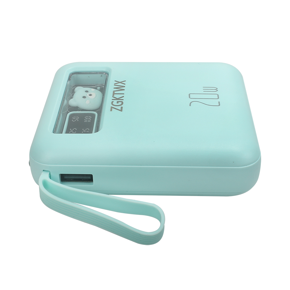 HOSL Clothes-pegs household multifunctional practical windproof clip,20 Pack.