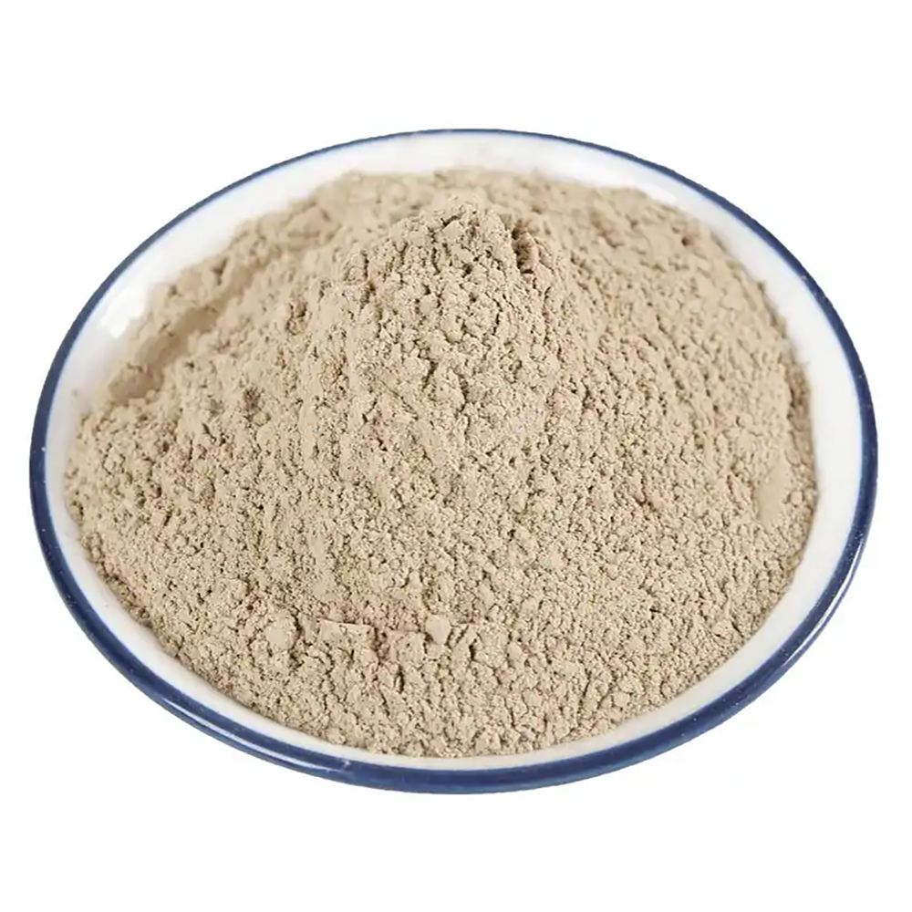 Euphea Euchea Lion's Mane Mushroom Powder - Organic Monkey Head Mushroom Extract for Brain Health, Focus & Memory Support - 150g Herbal Supplement