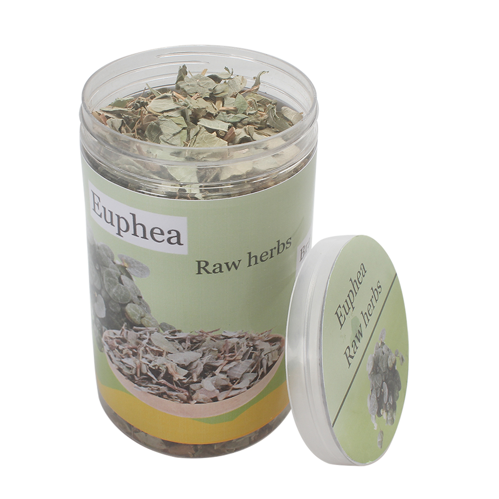 Euphea Golden Money Grass (Herbs) for Herbal Tea & Wellness - Supports Gallbladder Function & Detoxification - Daily Health Supplement