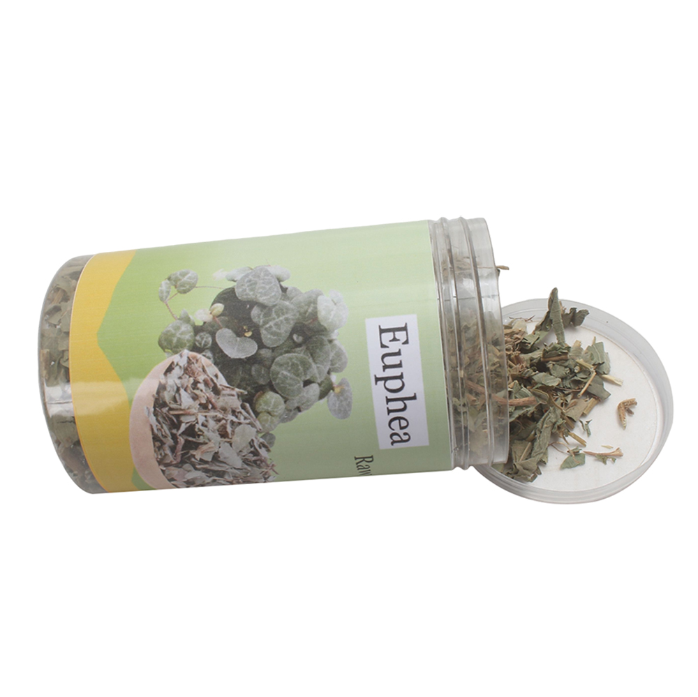 Euphea Golden Money Grass (Herbs) for Herbal Tea & Wellness - Supports Gallbladder Function & Detoxification - Daily Health Supplement