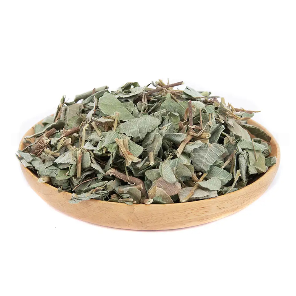 Euphea Golden Money Grass (Herbs) for Herbal Tea & Wellness - Supports Gallbladder Function & Detoxification - Daily Health Supplement