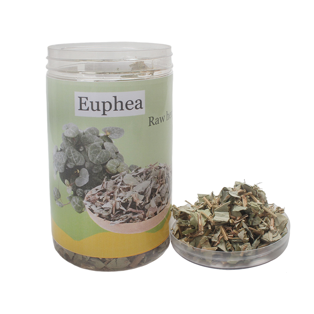Euphea Golden Money Grass (Herbs) for Herbal Tea & Wellness - Supports Gallbladder Function & Detoxification - Daily Health Supplement