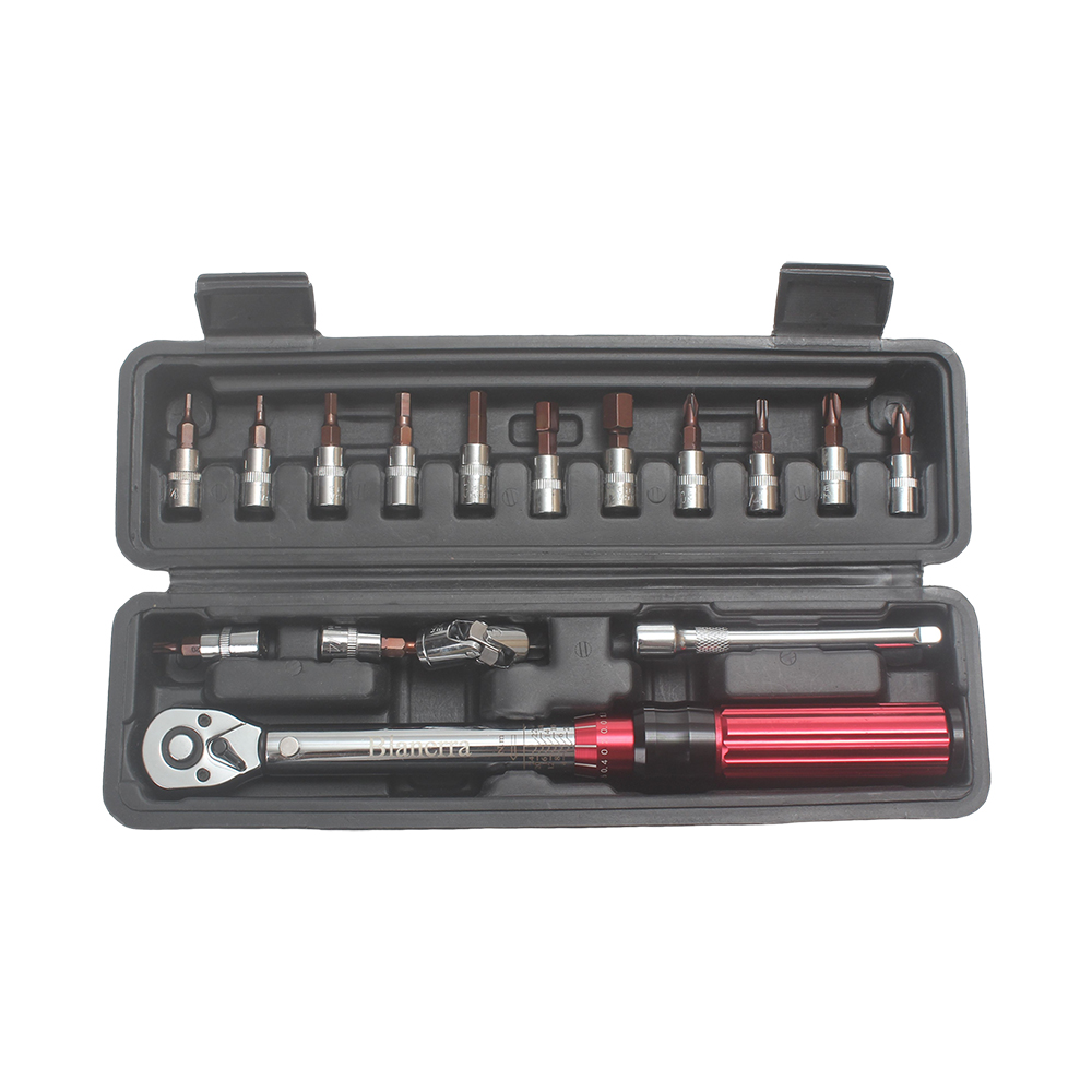 Blanerra 1/4 Inch Hand-operated Ratchet Wrench Set, 2-24Nm Professional Torque Wrench with Bits, Perfect for Bike Repair, Automotive Maintenance & Motorcycle More