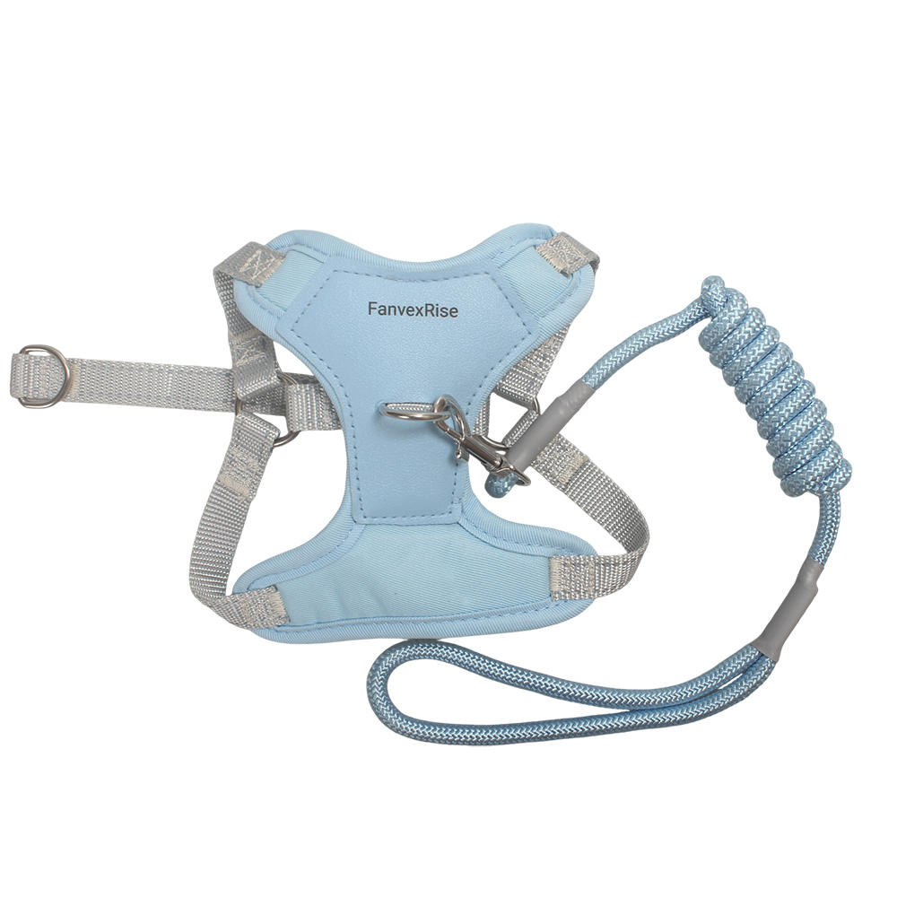 FanvexRise Adjustable Dog Vest Harness and Pet Leashes Set, Comfortable No-Pull Harness for Small/Medium Dogs, Ideal for Daily Walking, Outdoor Hiking & Training