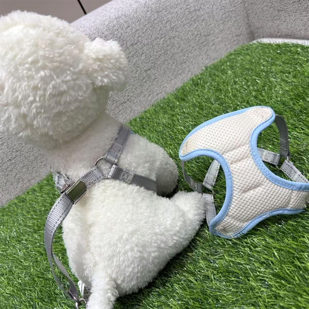 FanvexRise Adjustable Dog Vest Harness and Pet Leashes Set, Comfortable No-Pull Harness for Small/Medium Dogs, Ideal for Daily Walking, Outdoor Hiking & Training