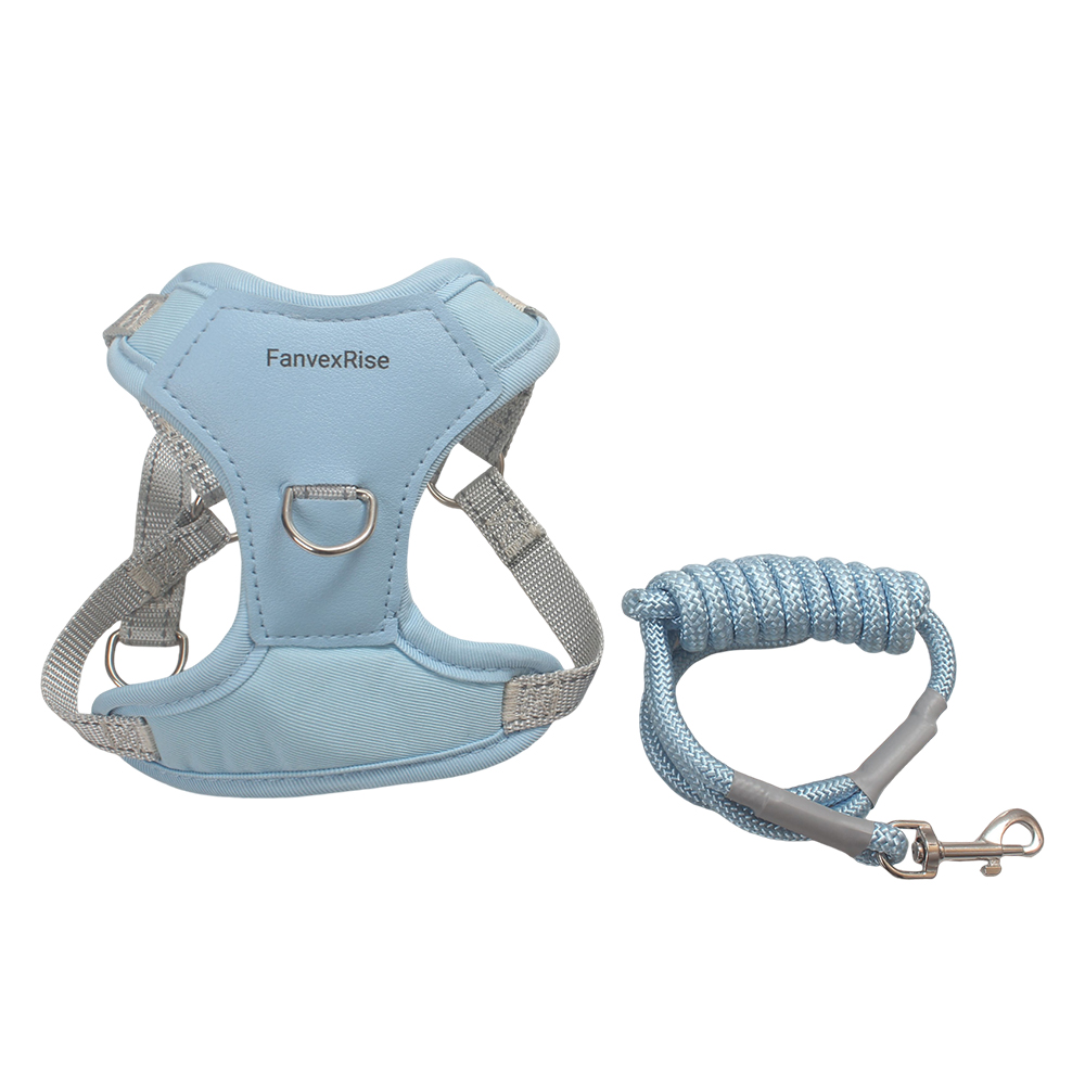 FanvexRise Adjustable Dog Vest Harness and Pet Leashes Set, Comfortable No-Pull Harness for Small/Medium Dogs, Ideal for Daily Walking, Outdoor Hiking & Training