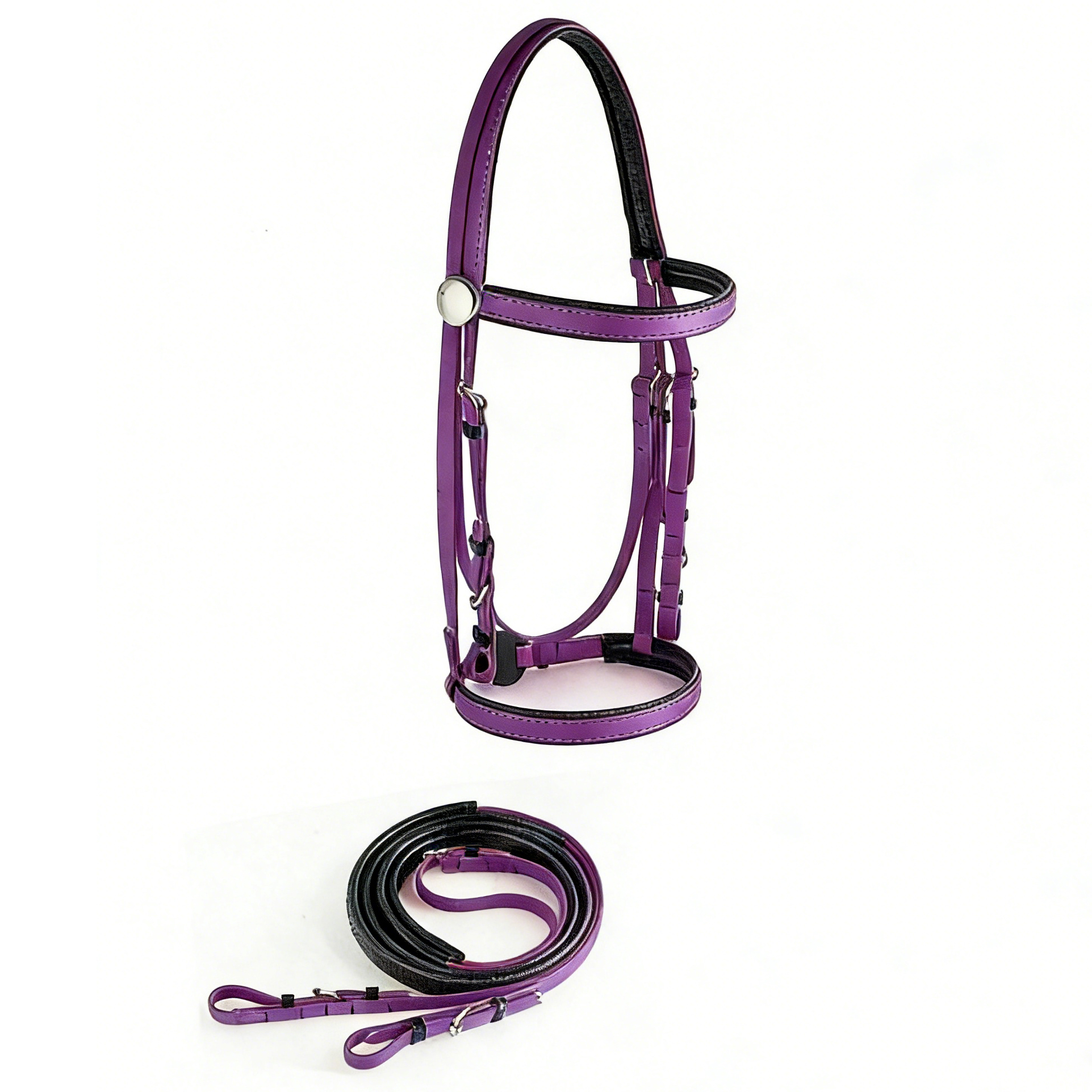 TENG Durable PVC Bridles with Reins, Comfortable Horse Bridle Set for Equestrian Training, Outdoor Riding and Daily Use