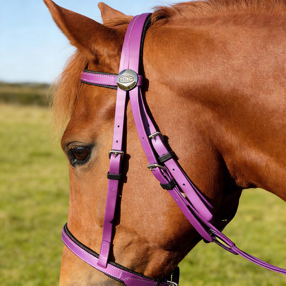 TENG Durable PVC Bridles with Reins, Comfortable Horse Bridle Set for Equestrian Training, Outdoor Riding and Daily Use