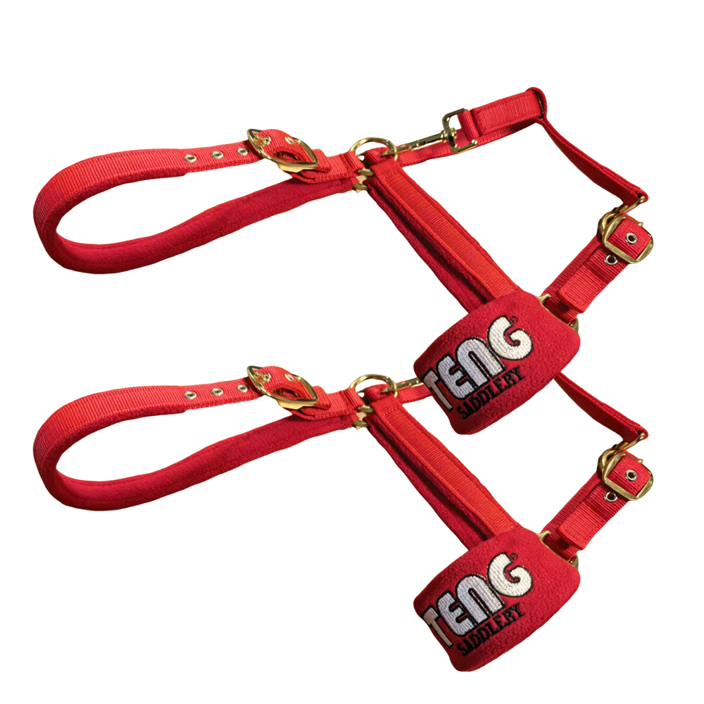 TENG Adjustable Brass Hardware Nylon Horse Halters with Fleece Padded, Comfortable & Durable Halter for for Daily Grooming, Turnout, Transport