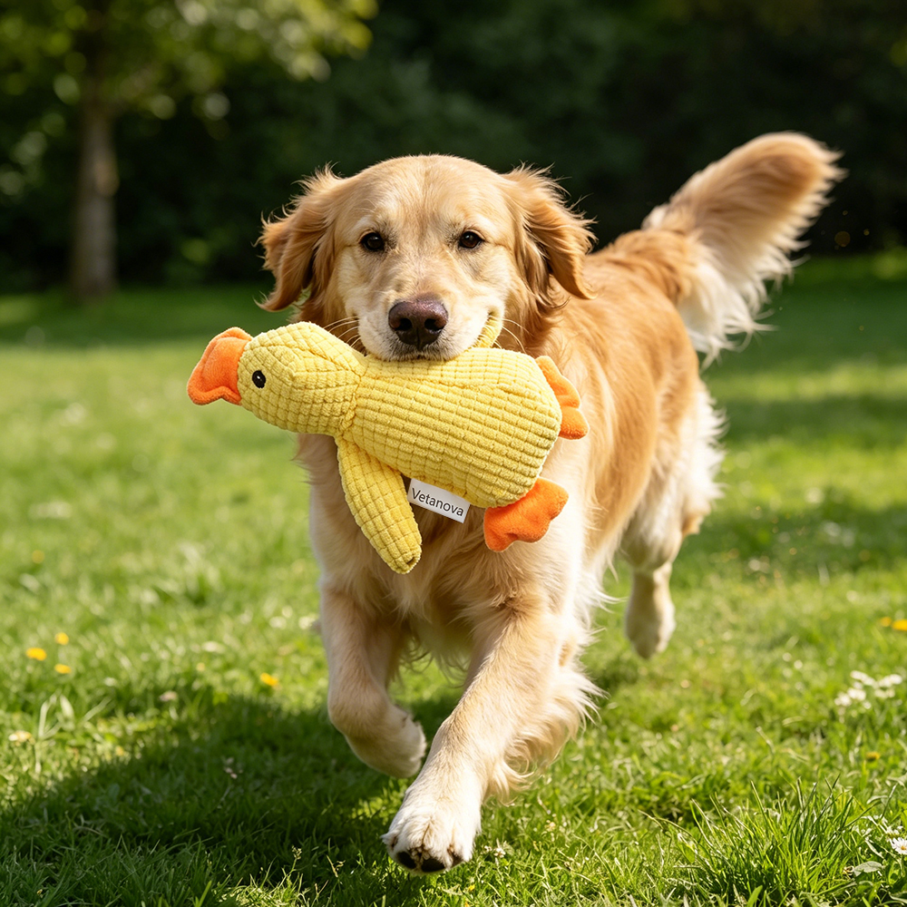 Vetanova Interactive Plush Duck Toy for pets, Squeaker Dog Toy to Relieve Boredom and Anxiety for Small Medium Dogs