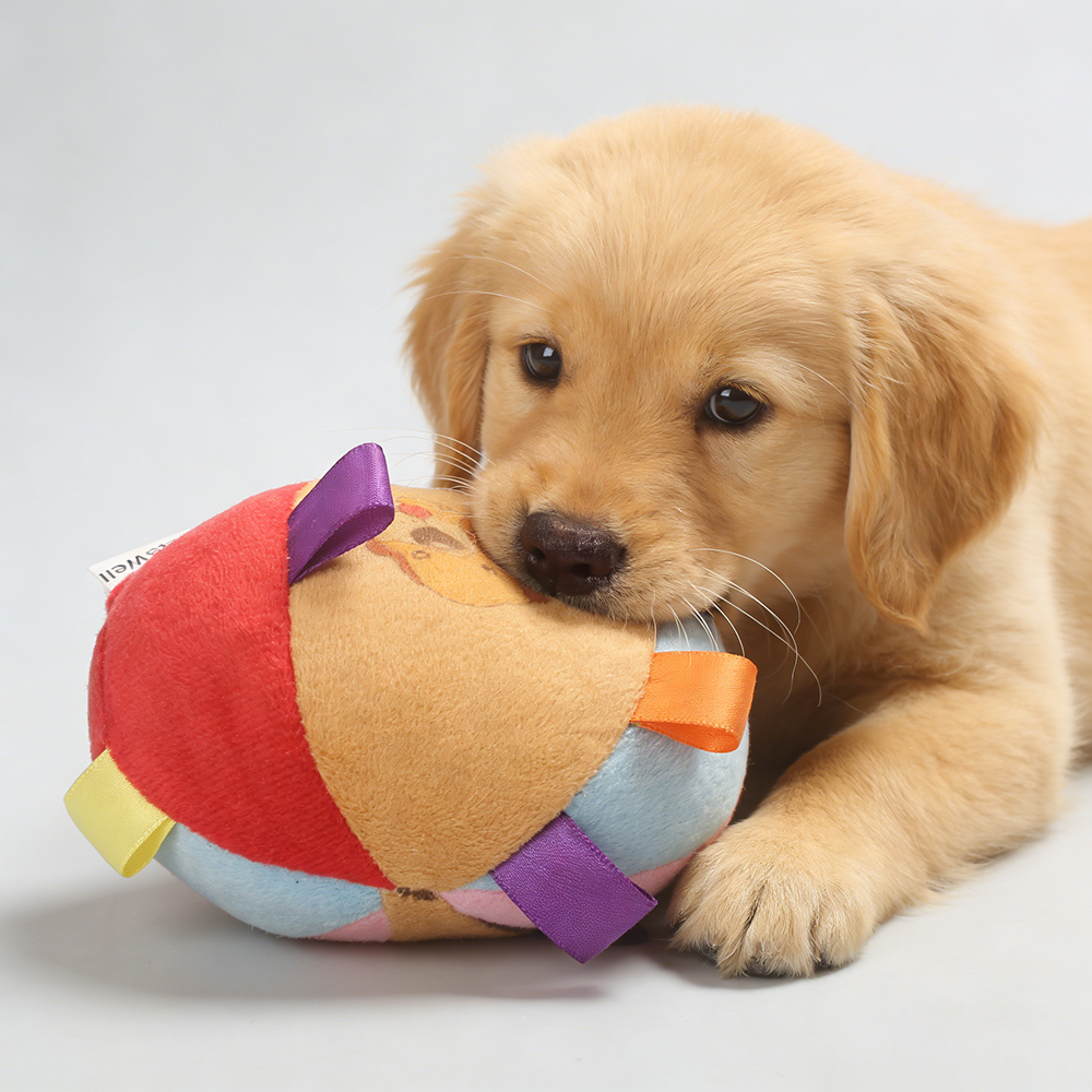 VetaWell Soft Plush Dog Toys for Small Medium Dogs, Colorful Interactive Dog Ball Toy with Sensory Ribbon Tags, Squeaky Puppy Toy for Indoor Fetch and Play