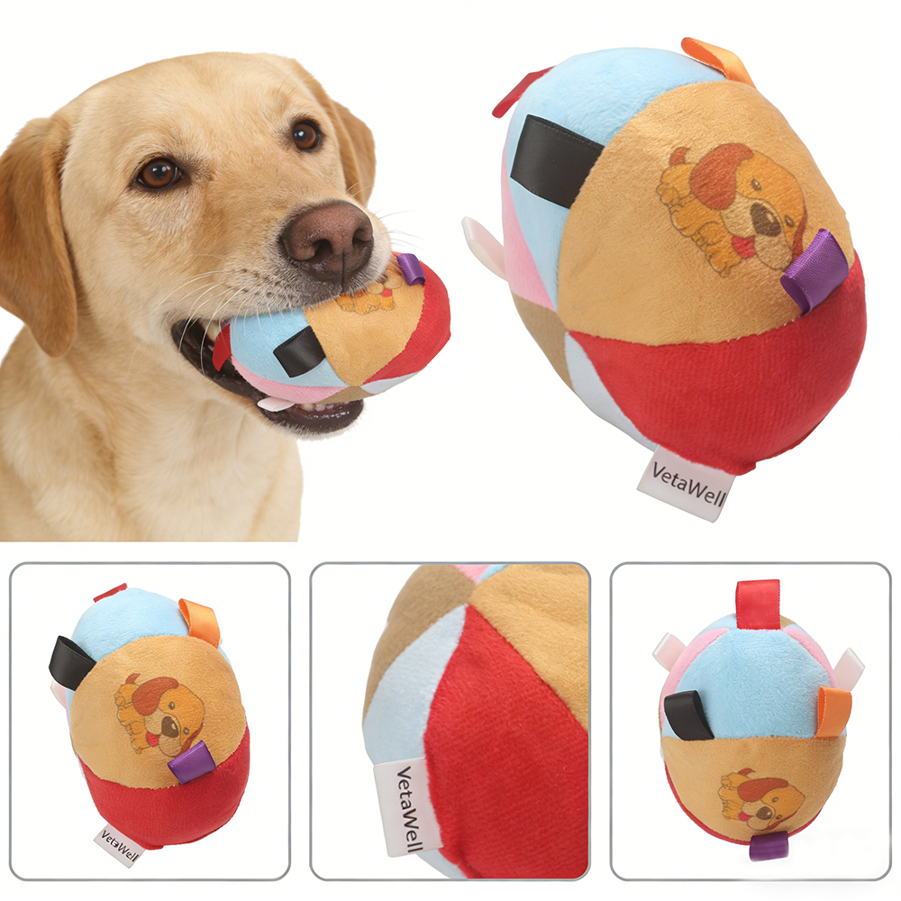 VetaWell Soft Plush Dog Toys for Small Medium Dogs, Colorful Interactive Dog Ball Toy with Sensory Ribbon Tags, Squeaky Puppy Toy for Indoor Fetch and Play
