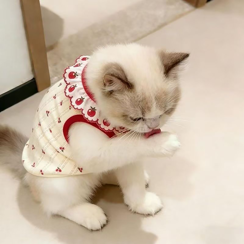 Zetiapax Costumes for Animals, Sweet Cherry Pattern Pet Clothes, Soft Cotton Dog Cat Tank Top with Red Trim, Comfortable Pet Apparel for Indoor Wear, Outdoor Walks, Daily Wear