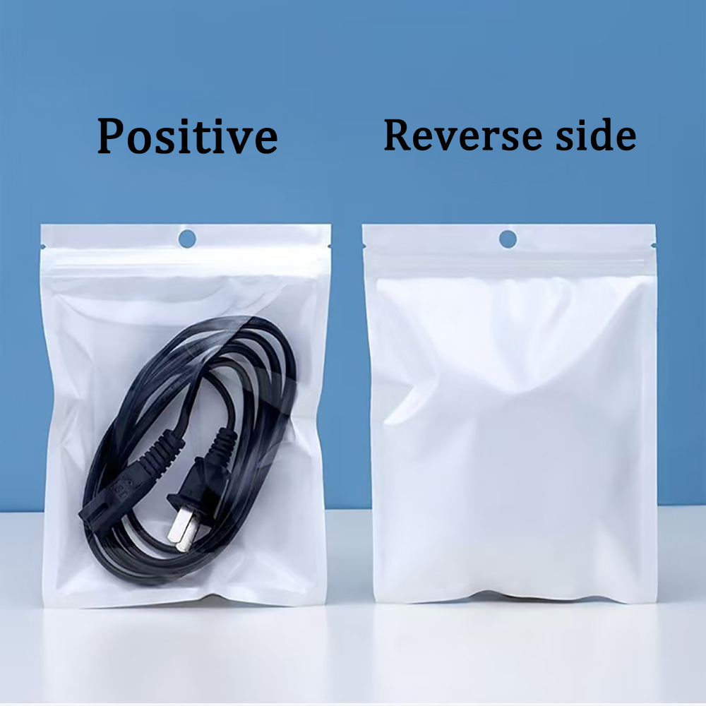 Raxalo 30 Pcs Professional Plastic for Packaging Small Zip Lock Pouches with Hanging Hole for Jewelry, Charms, Small Gifts, and DIY Craft Presentation