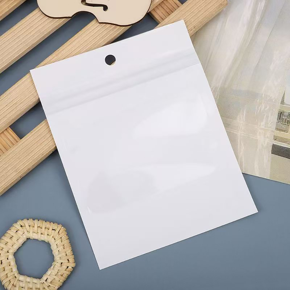 Raxalo 30 Pcs Professional Plastic for Packaging Small Zip Lock Pouches with Hanging Hole for Jewelry, Charms, Small Gifts, and DIY Craft Presentation