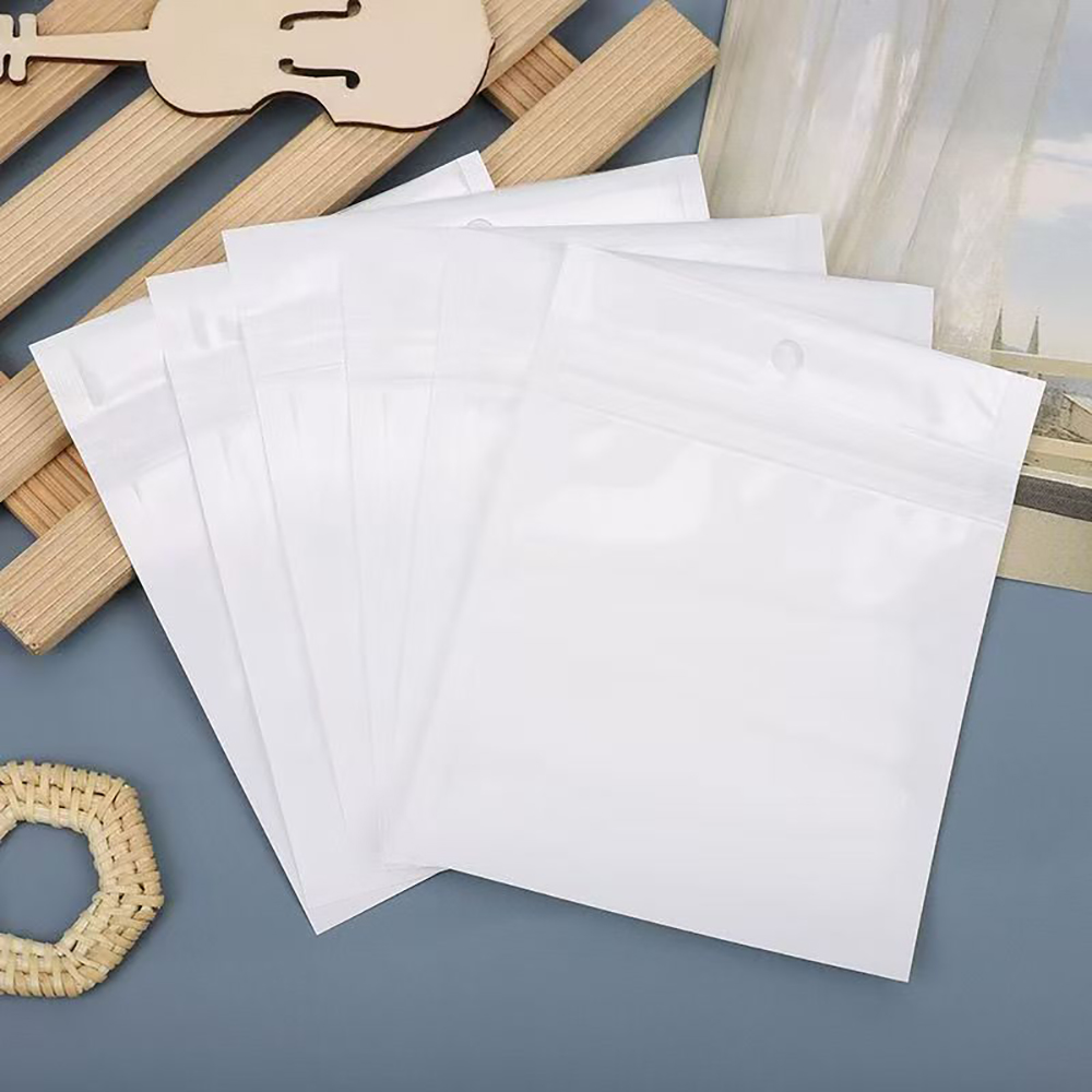Raxalo 30 Pcs Professional Plastic for Packaging Small Zip Lock Pouches with Hanging Hole for Jewelry, Charms, Small Gifts, and DIY Craft Presentation