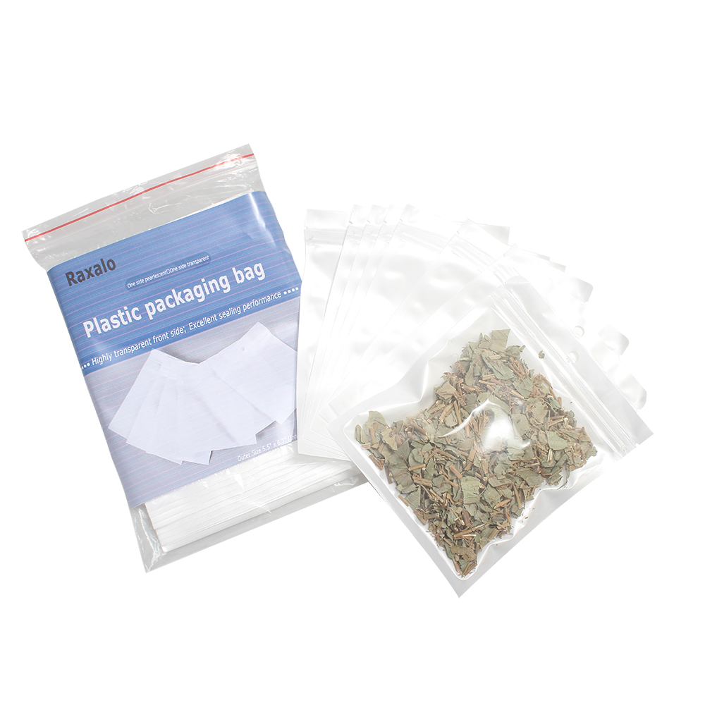 Raxalo 30 Pcs Professional Plastic for Packaging Small Zip Lock Pouches with Hanging Hole for Jewelry, Charms, Small Gifts, and DIY Craft Presentation
