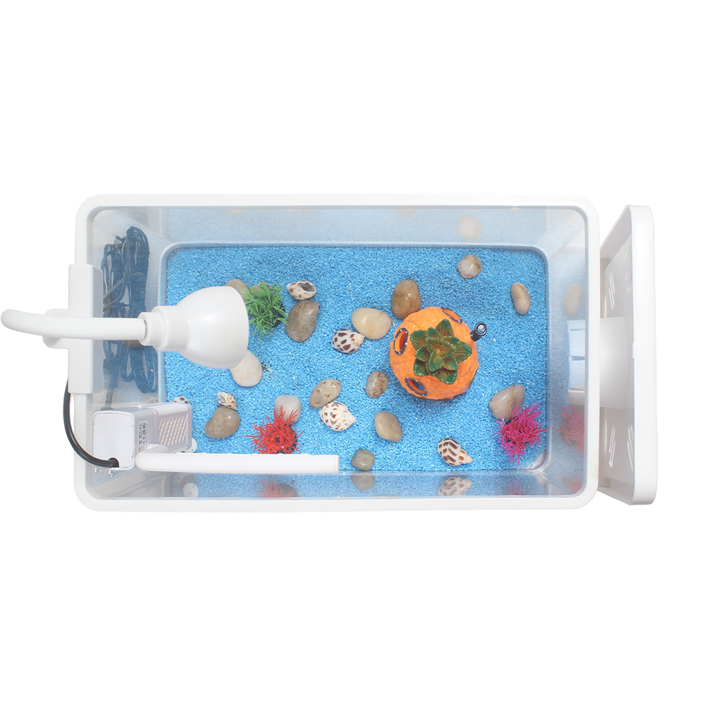 ChiiGe Desktop Indoor Aquaria with Quiet Internal Filter and Flexible LED Lamp, Stylish Mini Aquarium Kit for Office Desk and Study Room, Complete Fish Tank Set for Small Spaces and Stress Relief.