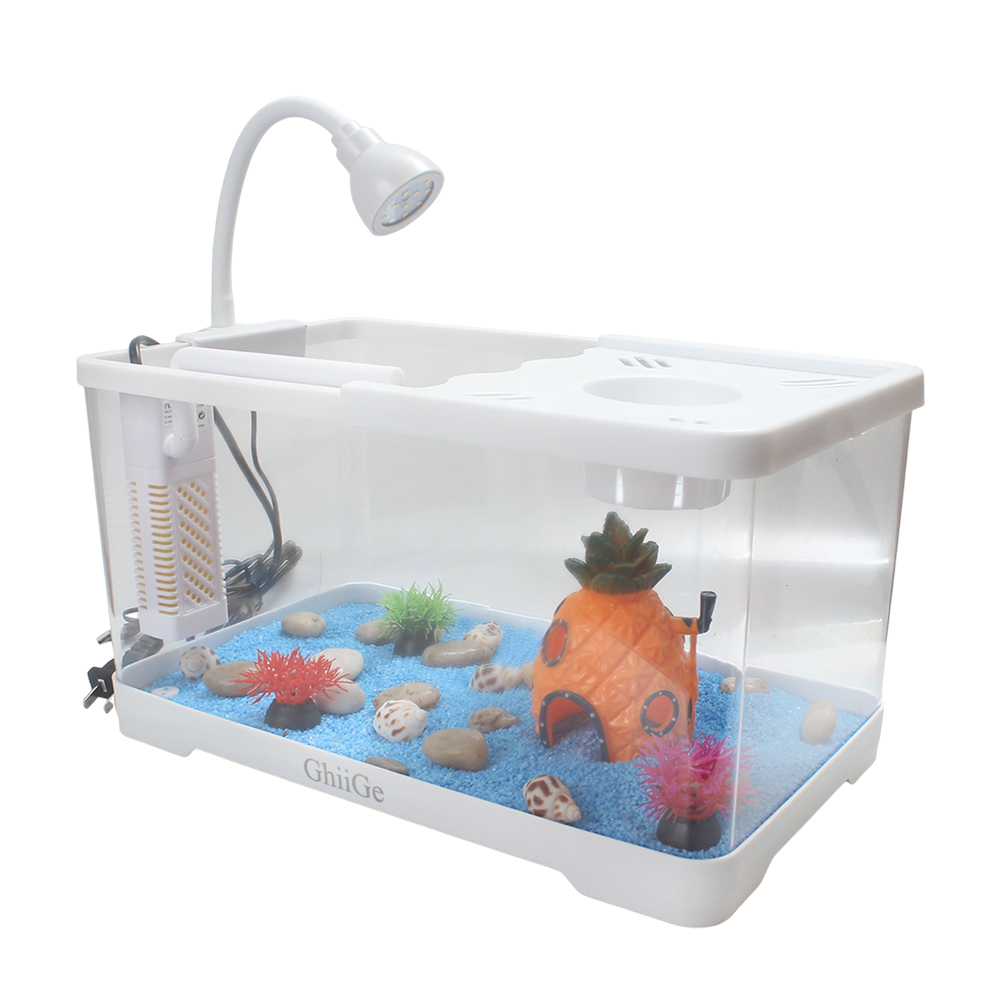 ChiiGe Desktop Indoor Aquaria with Quiet Internal Filter and Flexible LED Lamp, Stylish Mini Aquarium Kit for Office Desk and Study Room, Complete Fish Tank Set for Small Spaces and Stress Relief.