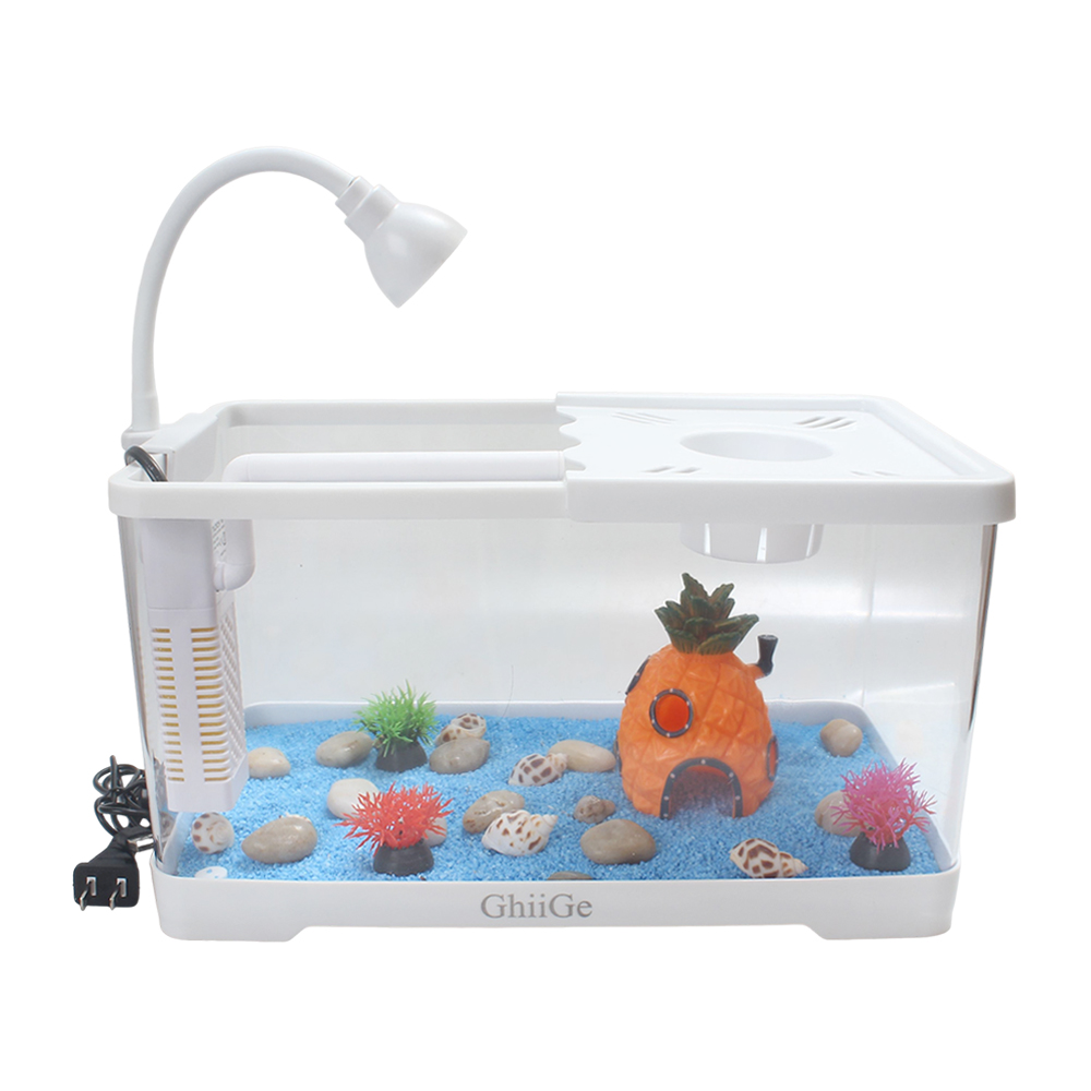 ChiiGe Desktop Indoor Aquaria with Quiet Internal Filter and Flexible LED Lamp, Stylish Mini Aquarium Kit for Office Desk and Study Room, Complete Fish Tank Set for Small Spaces and Stress Relief.