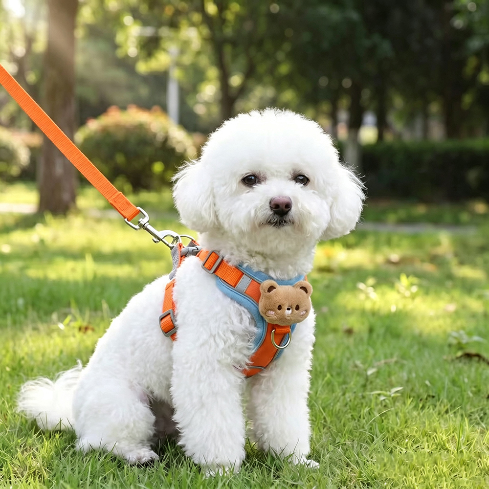 Kevorlith Reflective Pet Harness and Pet Leashes Combo for Small Dogs & Cats, Breathable Mesh Puppy Vest with Cartoon Plush Bear, Safety Escape Proof Dog Leash Set for Night Walking and Training.
