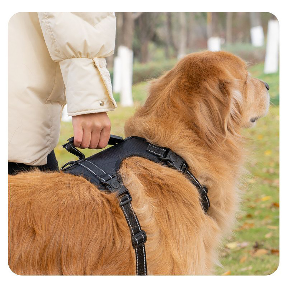 Fonquzel Harness for Dogs, No Pull Dog Harness with Reflective Strips & Dog Leash Set, Adjustable Soft Padded Pet Vest Harness for Walking Hiking Outdoor Training Daily Use