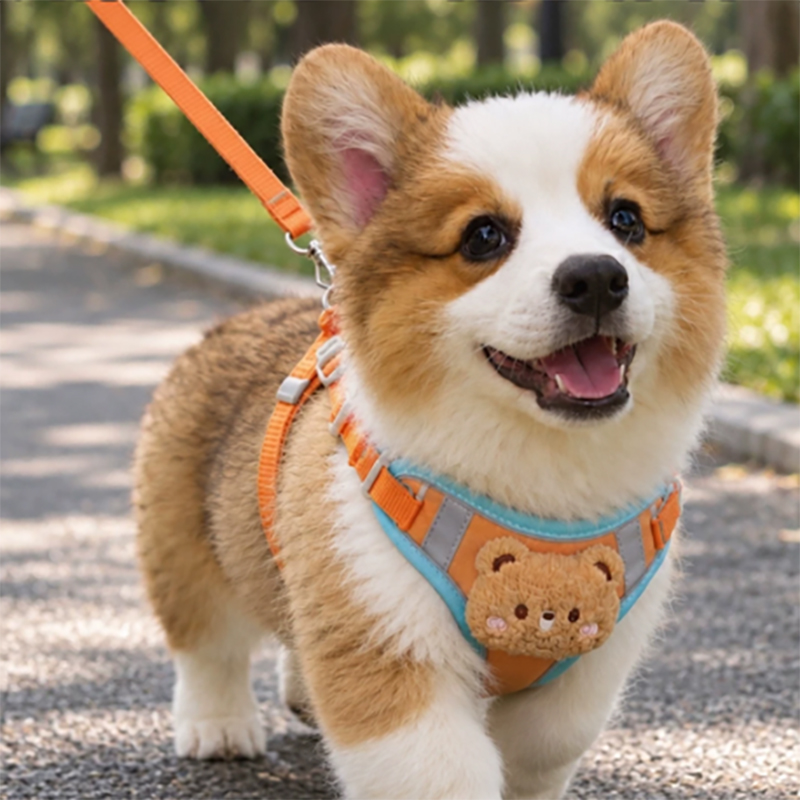 JuWow Cute Bear Reflective Dog Harness and Leash Set – Adjustable Soft Vest Harness for Dogs, Ideal for Daily Walking, Outdoor Hiking, and Nighttime Walking