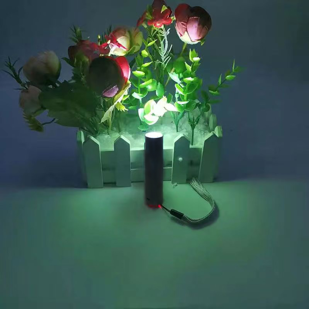 Neonium Mini flashlight three-speed adjustable USB rechargeable easy to carry.