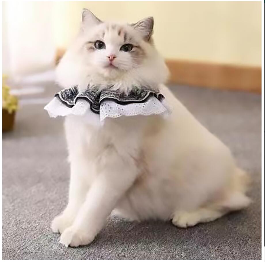 gonalulu Collars For Cats,cat Collar Lace Decorative Cute Cotton Creative Metal Puppy Bib Collar With Bell Detachable Indoor Fun Novelty Bow