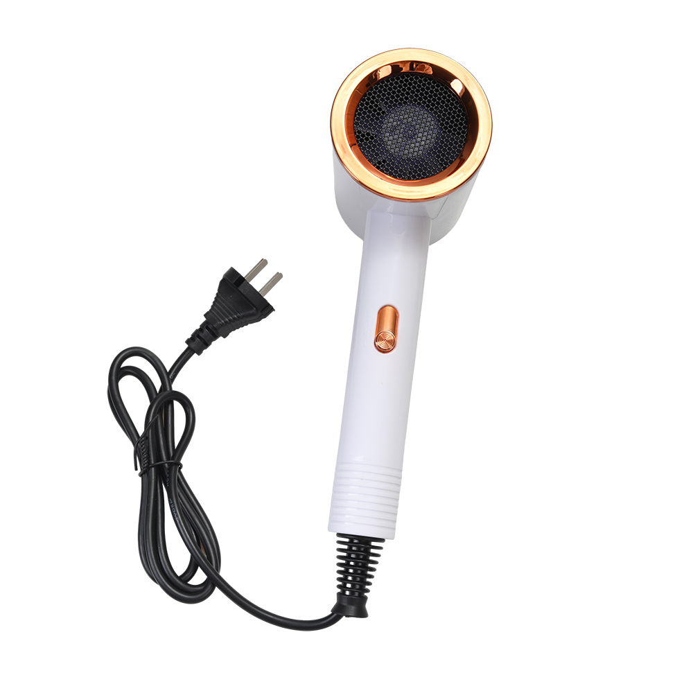 Ostrich Electric Hair Dryers,20000 RPM Ionic Blow Dryer with Concentrator , 3 temperature (COOL/ WARM/ HOT) and 2-speed (LOW/ HIGH) Hair Dryers for Salon, Home and Travel. ﻿ ﻿