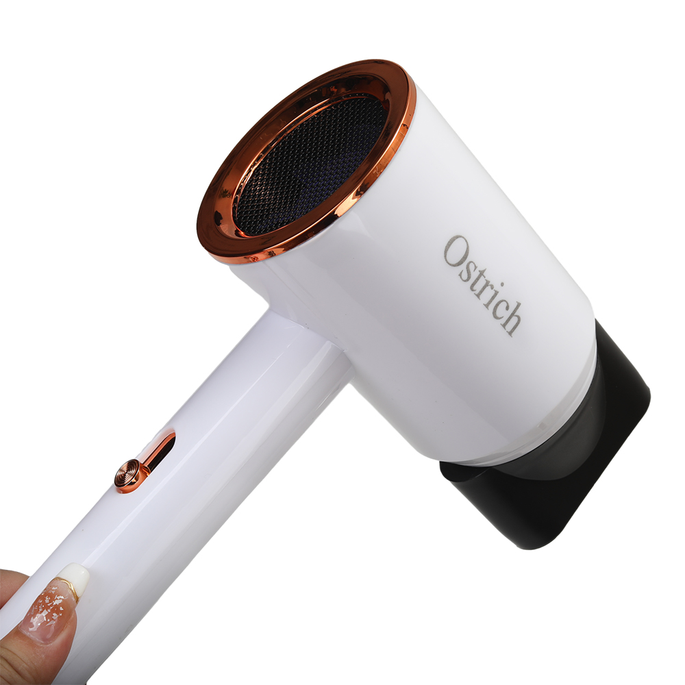 Ostrich Electric Hair Dryers,20000 RPM Ionic Blow Dryer with Concentrator , 3 temperature (COOL/ WARM/ HOT) and 2-speed (LOW/ HIGH) Hair Dryers for Salon, Home and Travel. ﻿ ﻿