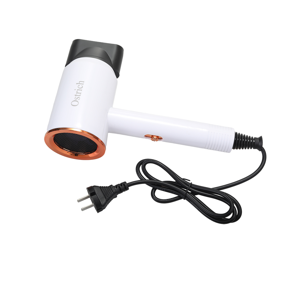 Ostrich Electric Hair Dryers,20000 RPM Ionic Blow Dryer with Concentrator , 3 temperature (COOL/ WARM/ HOT) and 2-speed (LOW/ HIGH) Hair Dryers for Salon, Home and Travel. ﻿ ﻿