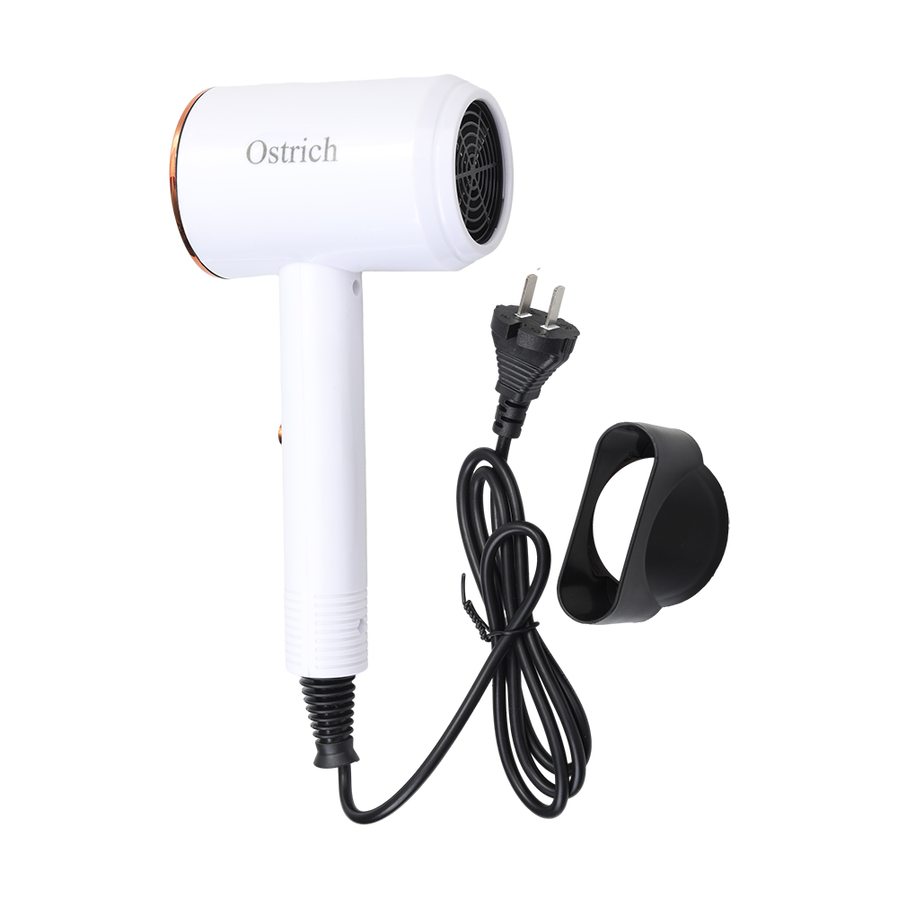 Ostrich Electric Hair Dryers,20000 RPM Ionic Blow Dryer with Concentrator , 3 temperature (COOL/ WARM/ HOT) and 2-speed (LOW/ HIGH) Hair Dryers for Salon, Home and Travel. ﻿ ﻿