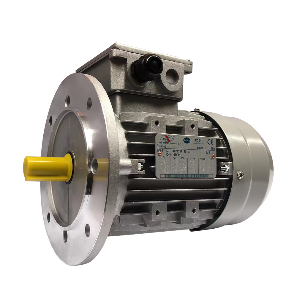 AXE Governors for machines, engines and motors Motors asynchronous AC gearboxes Motors Governors