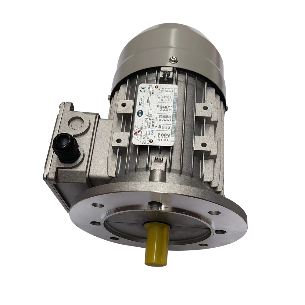 AXE Governors for machines, engines and motors Motors asynchronous AC gearboxes Motors Governors