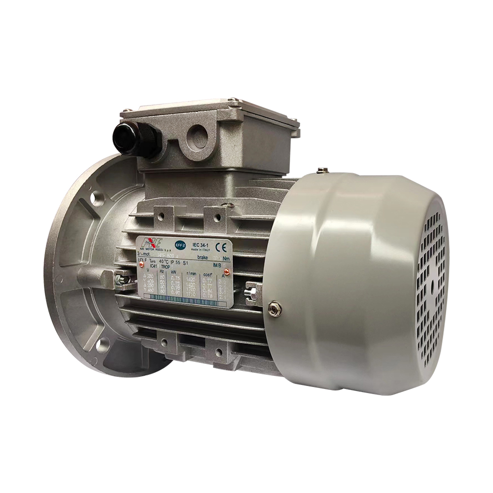 AXE Governors for machines, engines and motors Motors asynchronous AC gearboxes Motors Governors