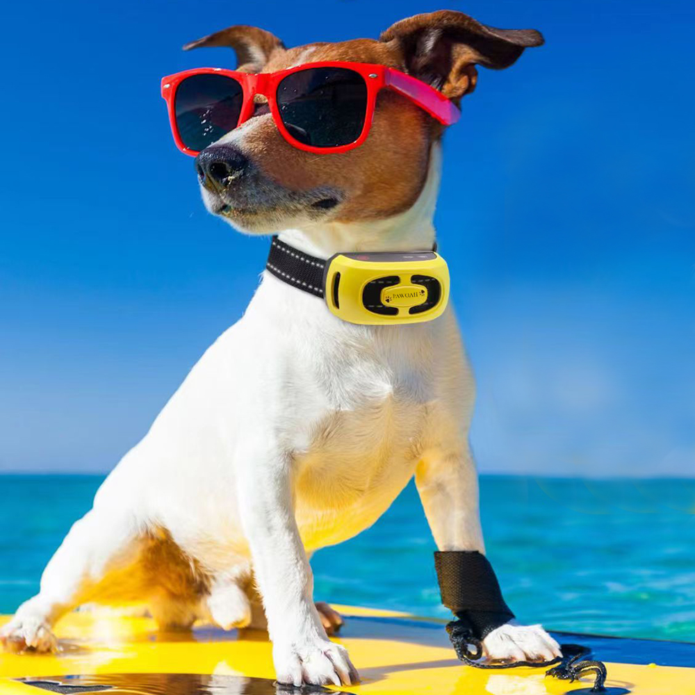 PAWOAH Auto Electronic collars for training animals to prevent barking and electric shock. Collars for pet barking stoppers